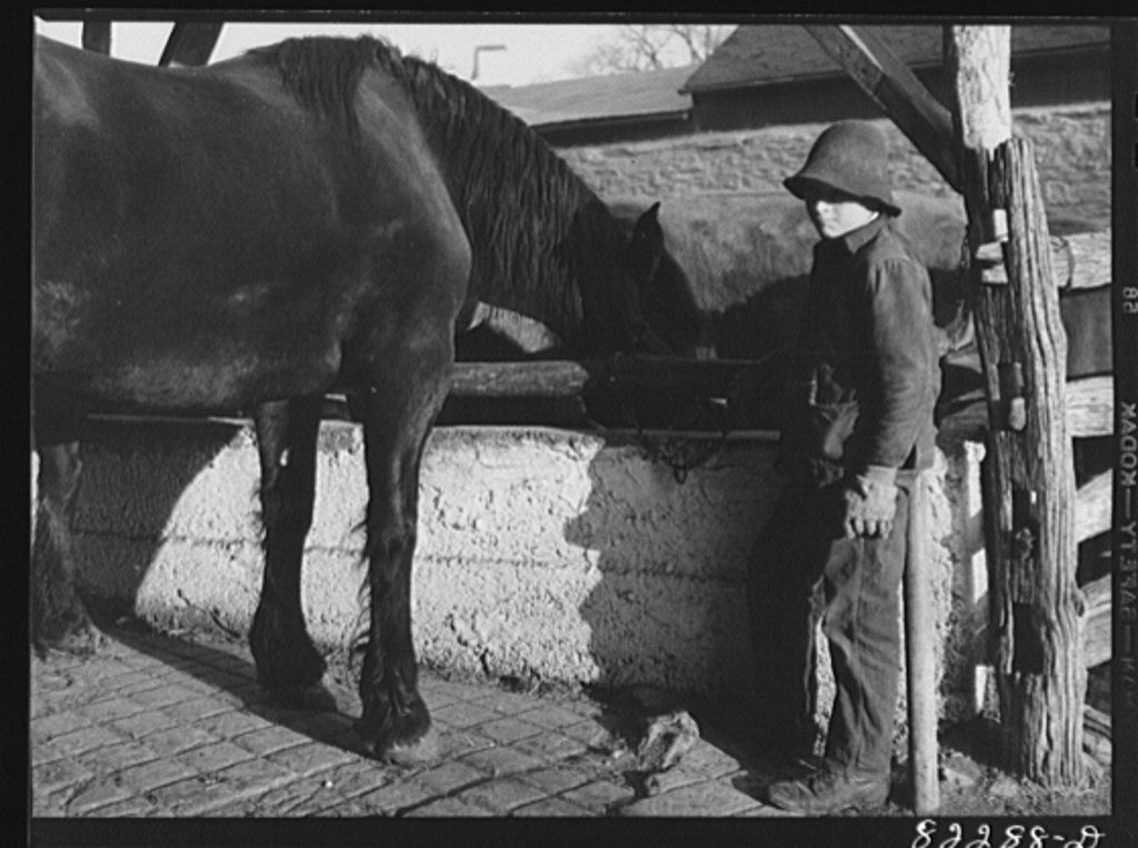 farm12 Mennonite boy watering horse 1942.jpg